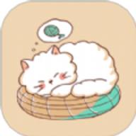 逗猫咪
