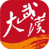 大武汉app
