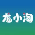 龙小淘APP安卓版 