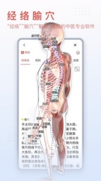 3Dbody解剖 v2.0.5