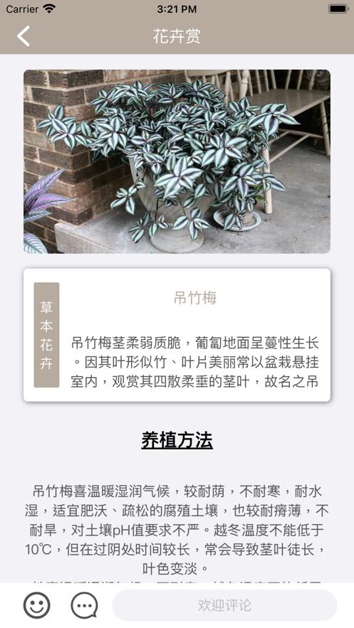 禾小禾珍卉