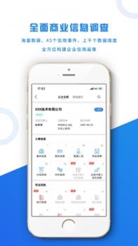 风鸟截图2
