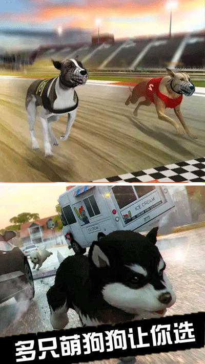 我的萌宠世界熊猫宝宝  v1.4.3