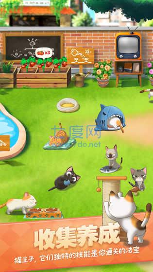猫语咖啡旧版截图1