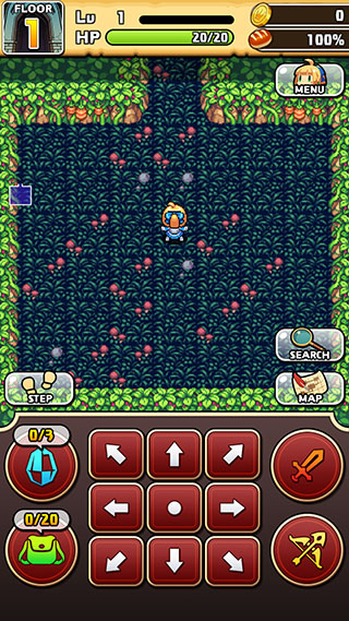 魔女的迷宫dx汉化版截图2
