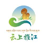 云上雅江