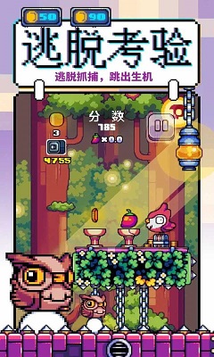 咕咕鸡向上冲截图0