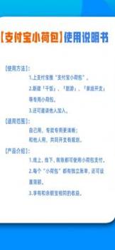 支付宝小荷包截图1