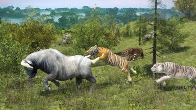 野生老虎模拟器 版本：v1.6