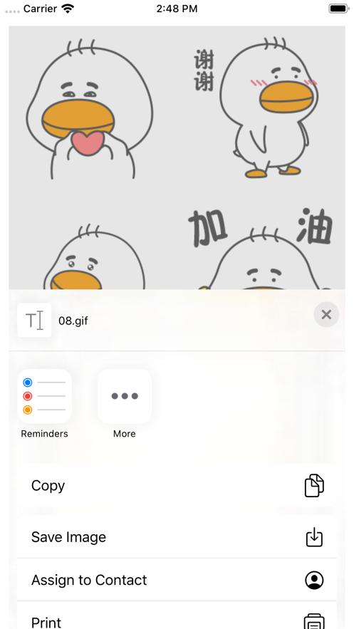 球球鸭