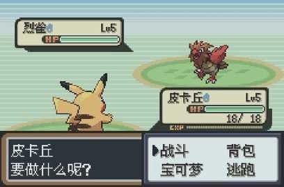 口袋妖怪圣灰汉化版截图2