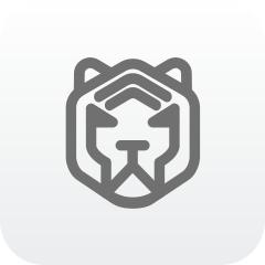 老虎教练
