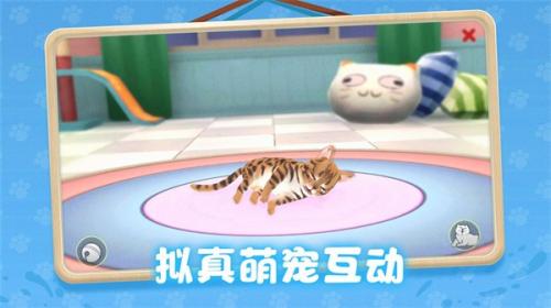 养了个猫截图0