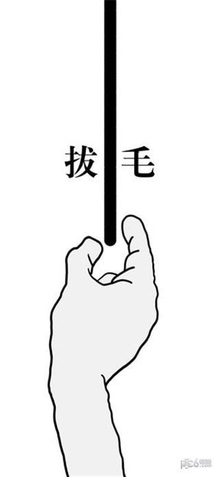 拔毛模拟器