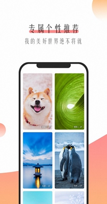 超美壁纸截图1
