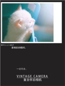复古怀旧相机截图0