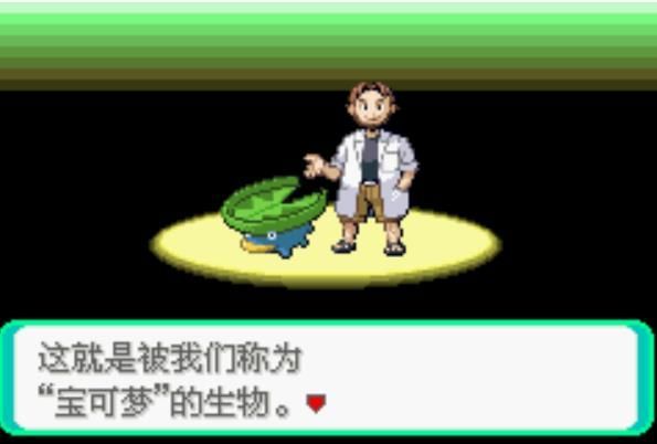 口袋妖怪绿宝石4.b金手指代码冠军之路图片2