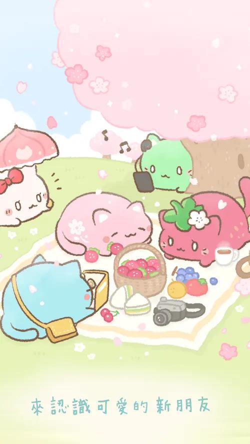 麻糬猫收藏 v1.20240424.0