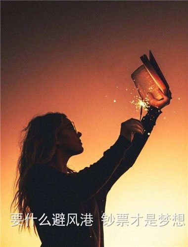 要什么避风港钞票才是梦想图片 v1.0