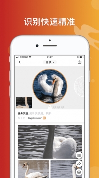 形色识鸟截图1