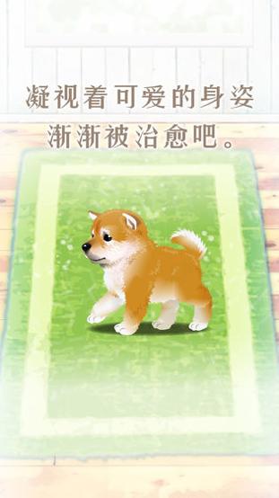 养育柴犬的治愈游戏 v3.0.5