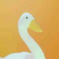 鹅岛游戏中文版（Goose Islands） 
