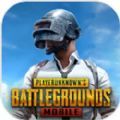 正版pubgmobile国际服下载官方最新版 