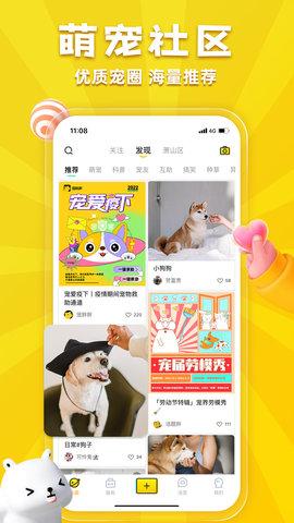 宠胖胖截图2