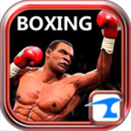 拳击之夜内购安卓版