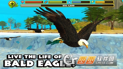 猎鹰模拟游戏 v1.0 安卓版