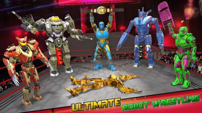 大型机器人擂台赛(Grand Robot Ring Arena Battle)