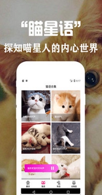 狗语翻译交流器.jpg