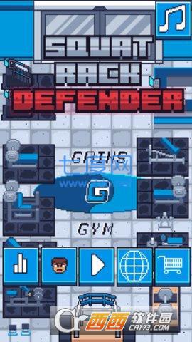 Squat Rack Defender