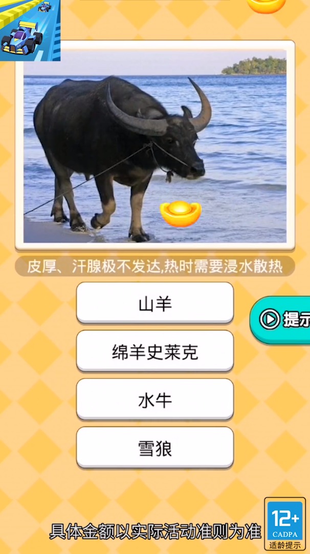 飞飞小车手赚金游戏领红包图片1