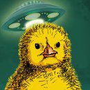 cattle:小鸡们的大冒险