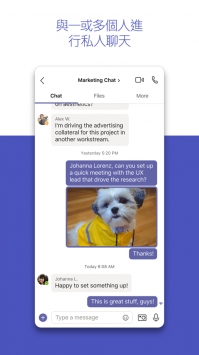 MicrosoftTeams v3.2.5