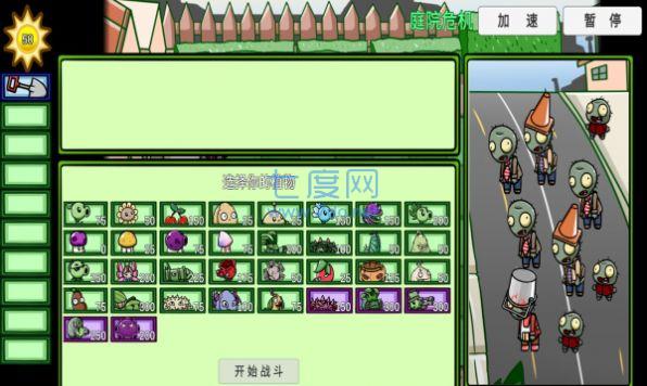 植物大战僵尸bt版无赖花版本
