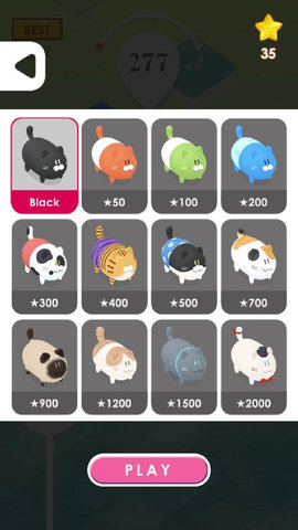 猫咪搭桥记.jpg