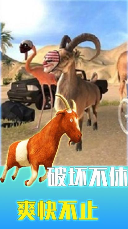 疯狂动物调查局.jpg