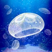 ellyfish Aquarium Free水母游戏