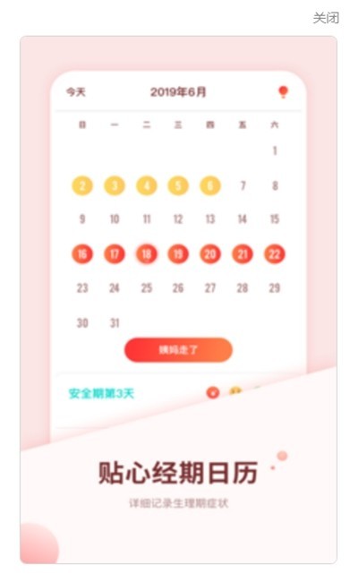 怀孕伴侣截图1