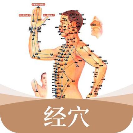经络穴位