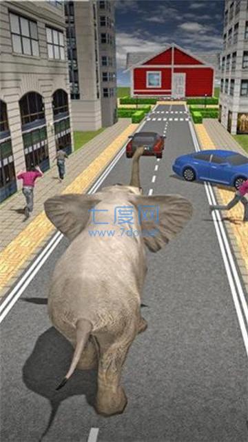 大象城市横冲直撞