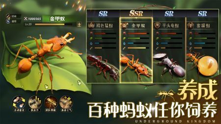 小小蚁国官网截图0