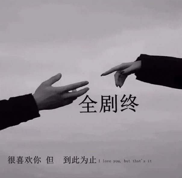  抖音全剧终很喜欢你但到此为止背景图片壁纸.jpg