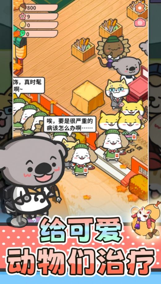 猫舍与动物之友.jpg