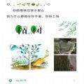 植树节九宫格拼图朋友圈图片分割图