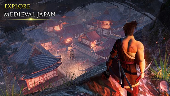 忍者武士隆完整版