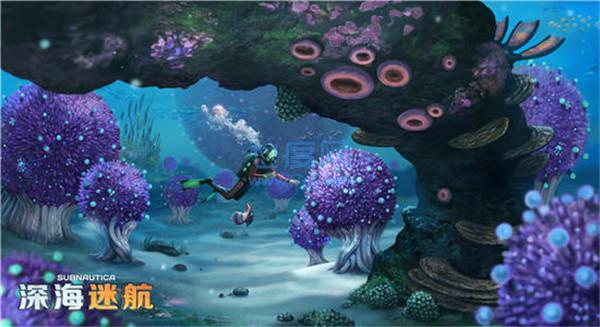 深海迷航零度之下