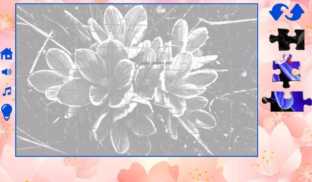 拼图的花朵游戏手机版下载 截图0